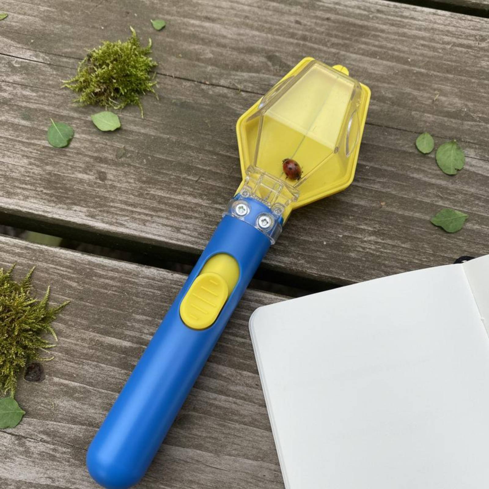 Bug Catcher Viewer Interactive - Bug Catching Kit recension och pris
