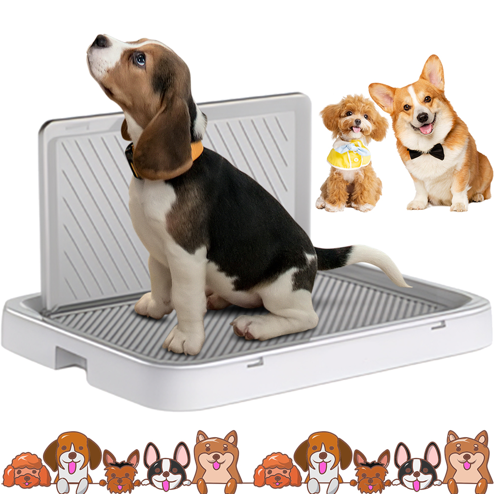 Dog Potty Tray with Pee Wall T - Sprinkler Splash Pad recension och pris