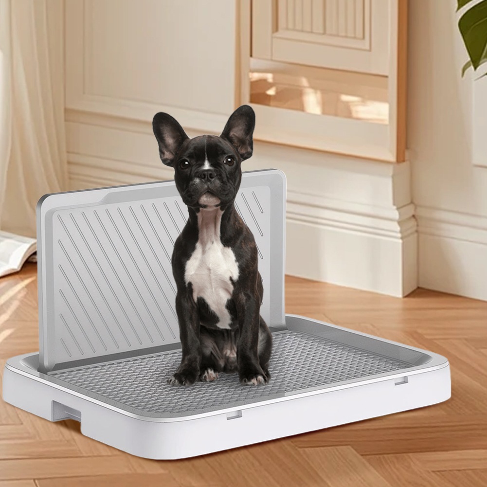 Dog Potty Tray with Pee Wall T - Sprinkler Splash Pad recension och pris